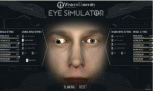 Eye Simulator